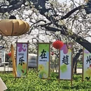 石家庄旅游 缩略图 1