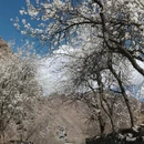 阿坝旅游 缩略图 7