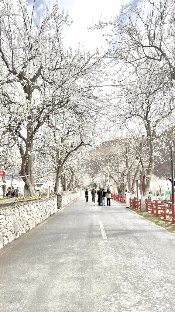阿坝旅游