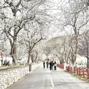 阿坝旅游 缩略图 1