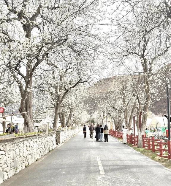阿坝旅游 1