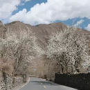 阿坝旅游 缩略图 8