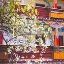 阿坝旅游 缩略图 5