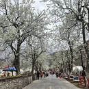 阿坝旅游 缩略图 9