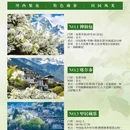 阿坝旅游 缩略图 2