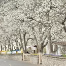 阿坝旅游 缩略图 3