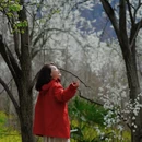 阿坝旅游 缩略图 2