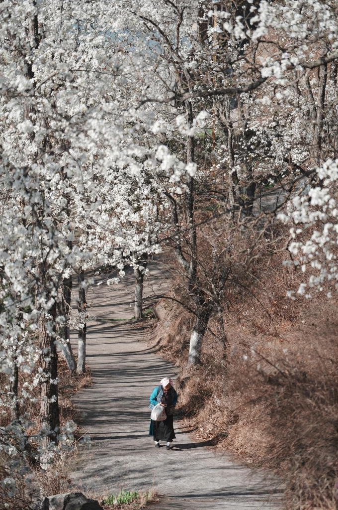 阿坝旅游