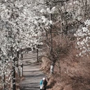 阿坝旅游 缩略图 1