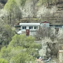 阿坝旅游 缩略图 13