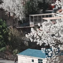 阿坝旅游 缩略图 8