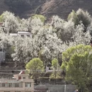 阿坝旅游 缩略图 16