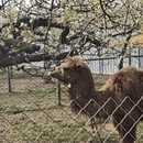石家庄旅游 缩略图 9