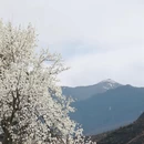 阿坝旅游 缩略图 16
