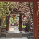 石家庄旅游 缩略图 10