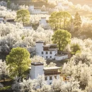 阿坝旅游 缩略图 3