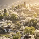 阿坝旅游 缩略图 5