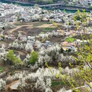 阿坝旅游 缩略图 2