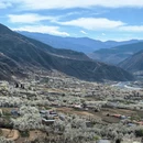 阿坝旅游 缩略图 5
