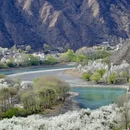 阿坝旅游 缩略图 14