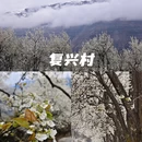 阿坝旅游 缩略图 6
