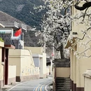 阿坝旅游 缩略图 10