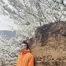 阿坝旅游 缩略图 8