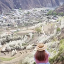 阿坝旅游 缩略图 6