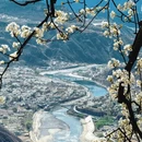 阿坝旅游 缩略图 16