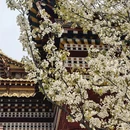 阿坝旅游 缩略图 17