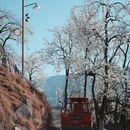 阿坝旅游 缩略图 11