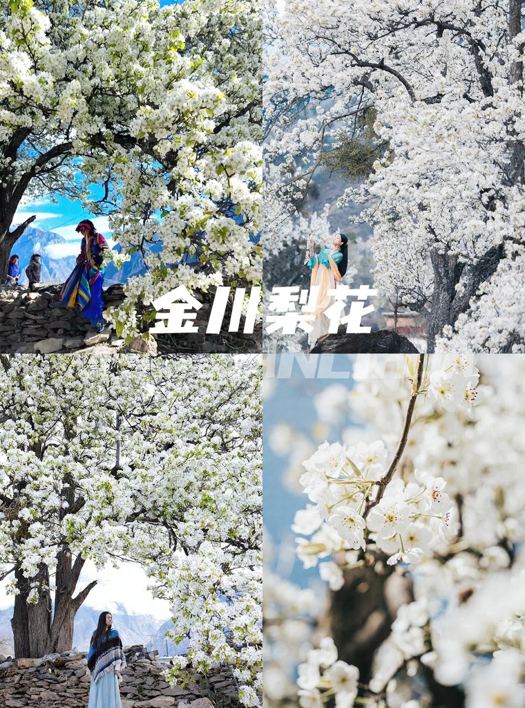 阿坝旅游