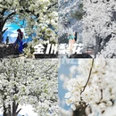 阿坝旅游 缩略图 1
