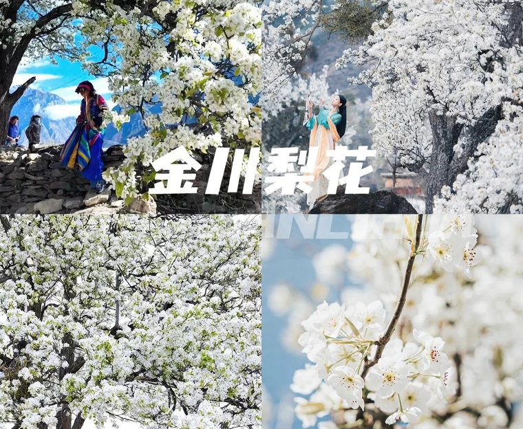 阿坝旅游 1