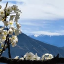 阿坝旅游 缩略图 8