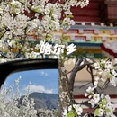 阿坝旅游 缩略图 3