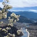 阿坝旅游 缩略图 10