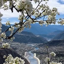 阿坝旅游 缩略图 11