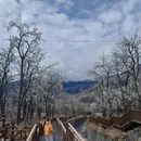 阿坝旅游 缩略图 6