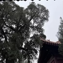 石家庄旅游 缩略图 7