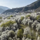 重庆旅游 缩略图 4