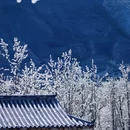 阿坝旅游 缩略图 3