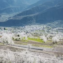 阿坝旅游 缩略图 14
