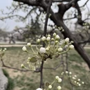 石家庄旅游 缩略图 11