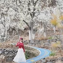 阿坝旅游 缩略图 14