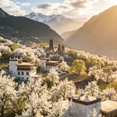 重庆旅游 缩略图 1