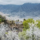 阿坝旅游 缩略图 9