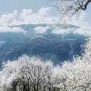 阿坝旅游 缩略图 11