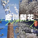阿坝旅游 缩略图 1