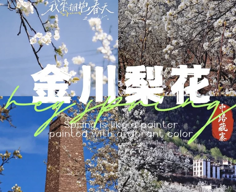 阿坝旅游 1